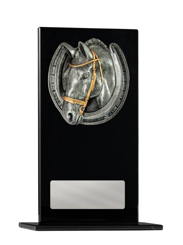 Swimming Glass Trophy 200mm