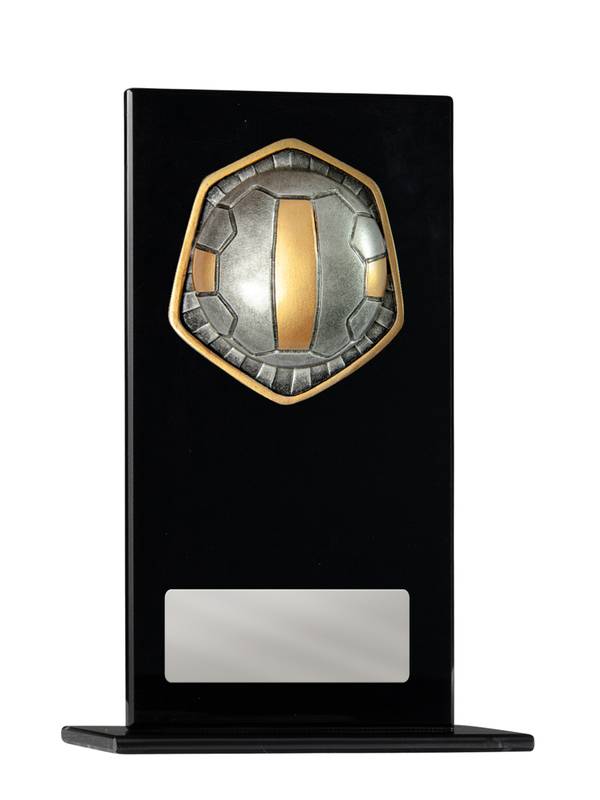 Netball Glass Trophy 200mm