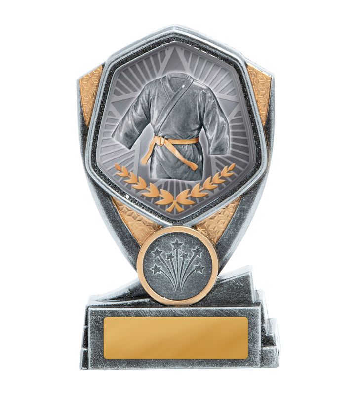Martial Arts Trophy 175mm
