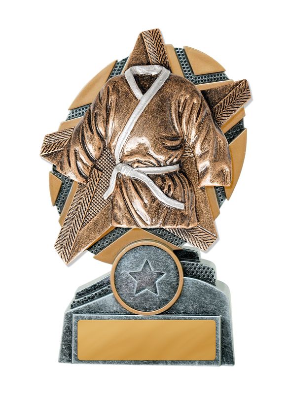 Martial Arts Trophy 170mm