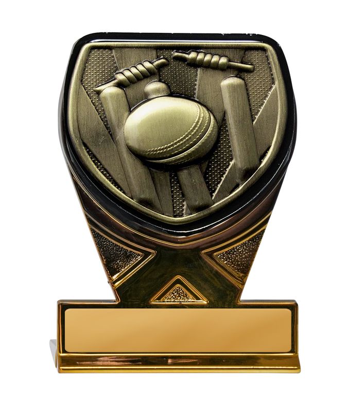 Cricket Trophy 225mm