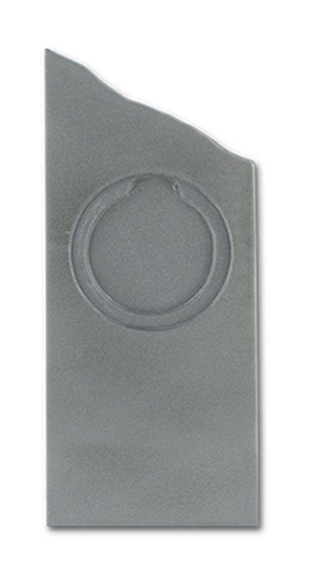 Silver All Sports Trophy 210mm