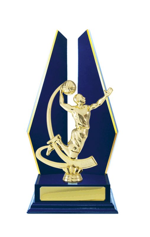Basketball Trophy 305mm