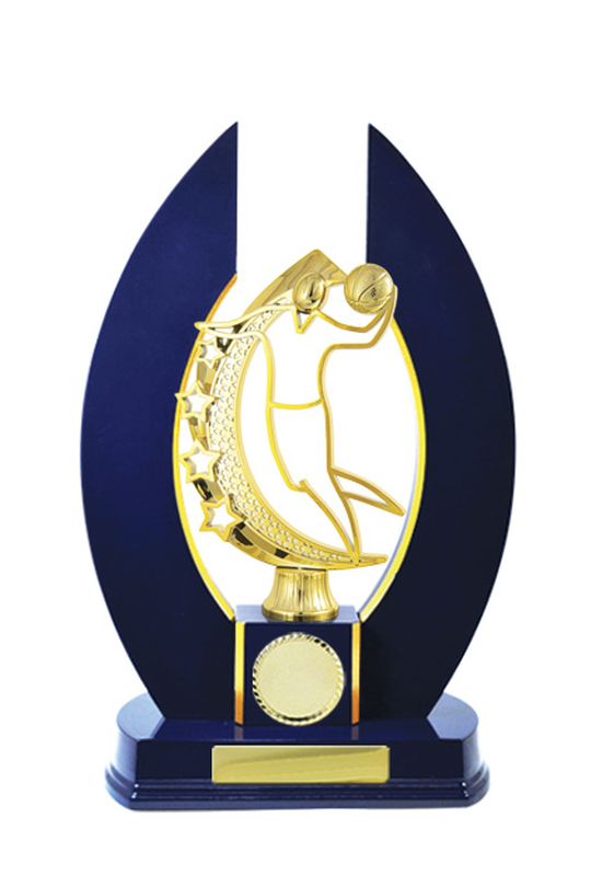 Basketball Trophy 320mm
