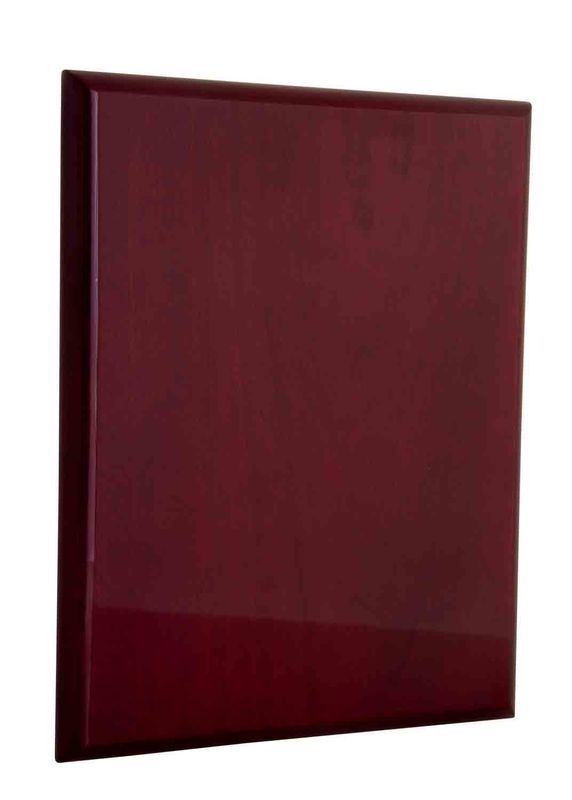 Plaque All Sports 400mm